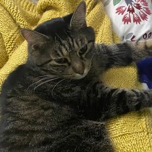 Meet your Posher, Solveig